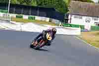 enduro-digital-images;event-digital-images;eventdigitalimages;mallory-park;mallory-park-photographs;mallory-park-trackday;mallory-park-trackday-photographs;no-limits-trackdays;peter-wileman-photography;racing-digital-images;trackday-digital-images;trackday-photos